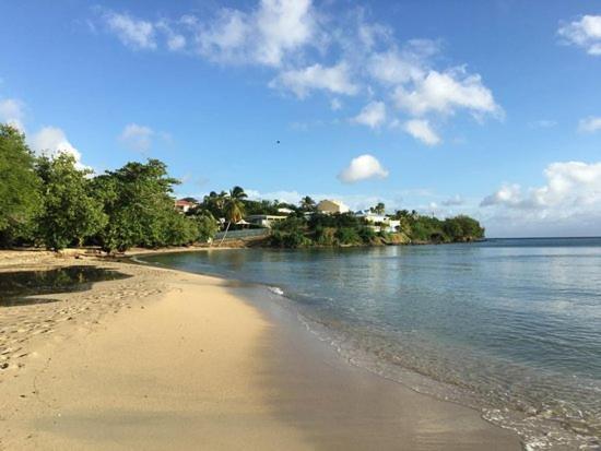 Nouveau Domaine De Mabouya Vue Mer Et Proximite Plage Sainte-Luce Zewnętrze zdjęcie